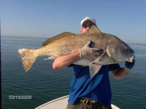 How to Spring Fish on Amelia Island 1 Amelia Island big black drum