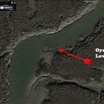 How to fish a marsh