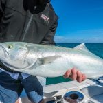 Sabastian Inlet Report 1